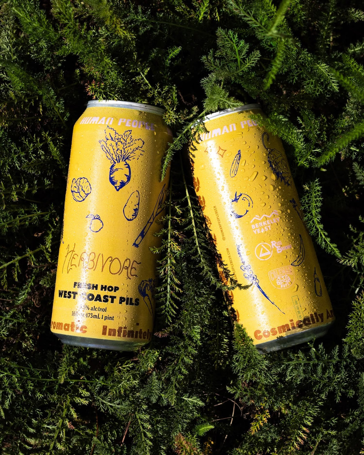 Recipe: Herbivore Fresh Hop West Coast Pilsner | Ruse and Human People Collab