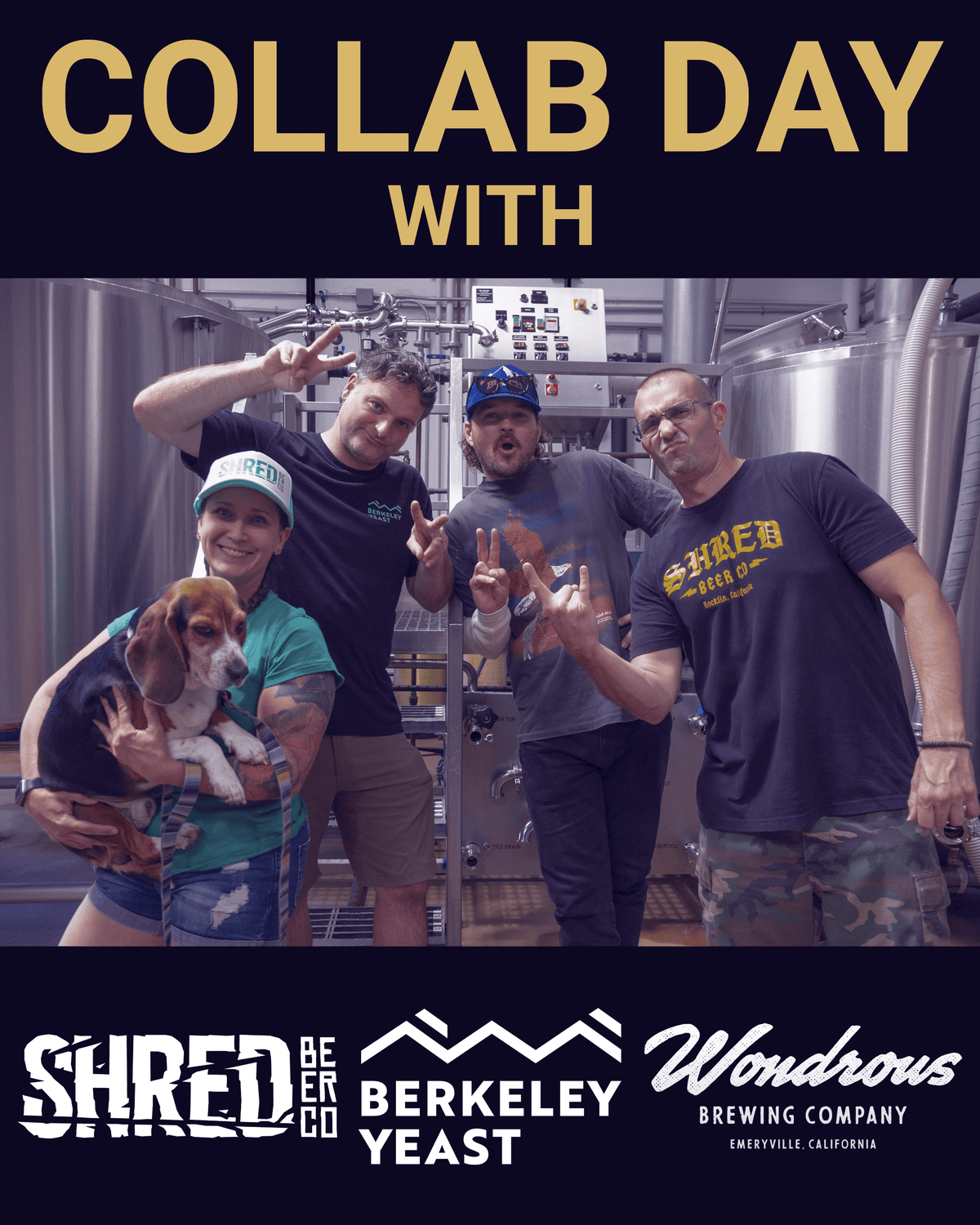 Collab Day: Shred Beer Co., Wondrous Brewing Co. and Berkeley Yeast