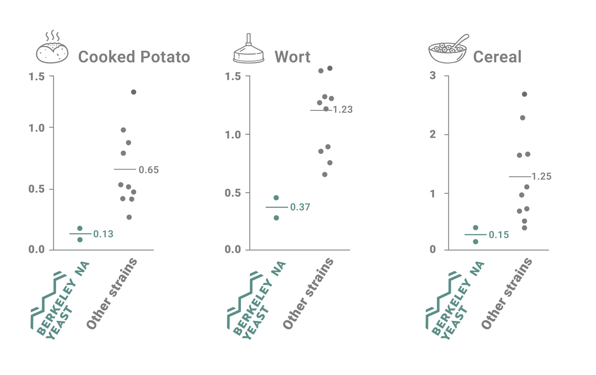 Scatter plots comparing sensory of 'Cooked Potato', 'Wort', and 'Cereal' in non alcoholic beer produced with maltose negative yeast.