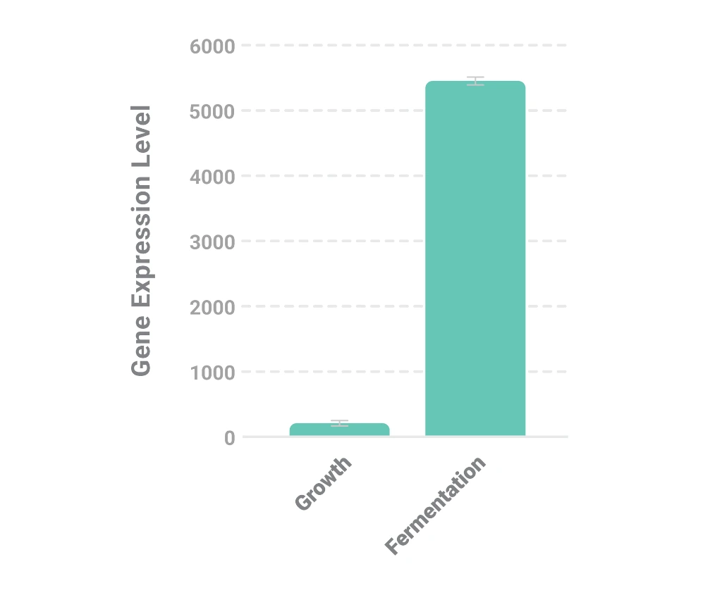 Bar chart of ALDC gene expression in updated FRESH Chico with the switch: off during the growth phase and on later in fermentation