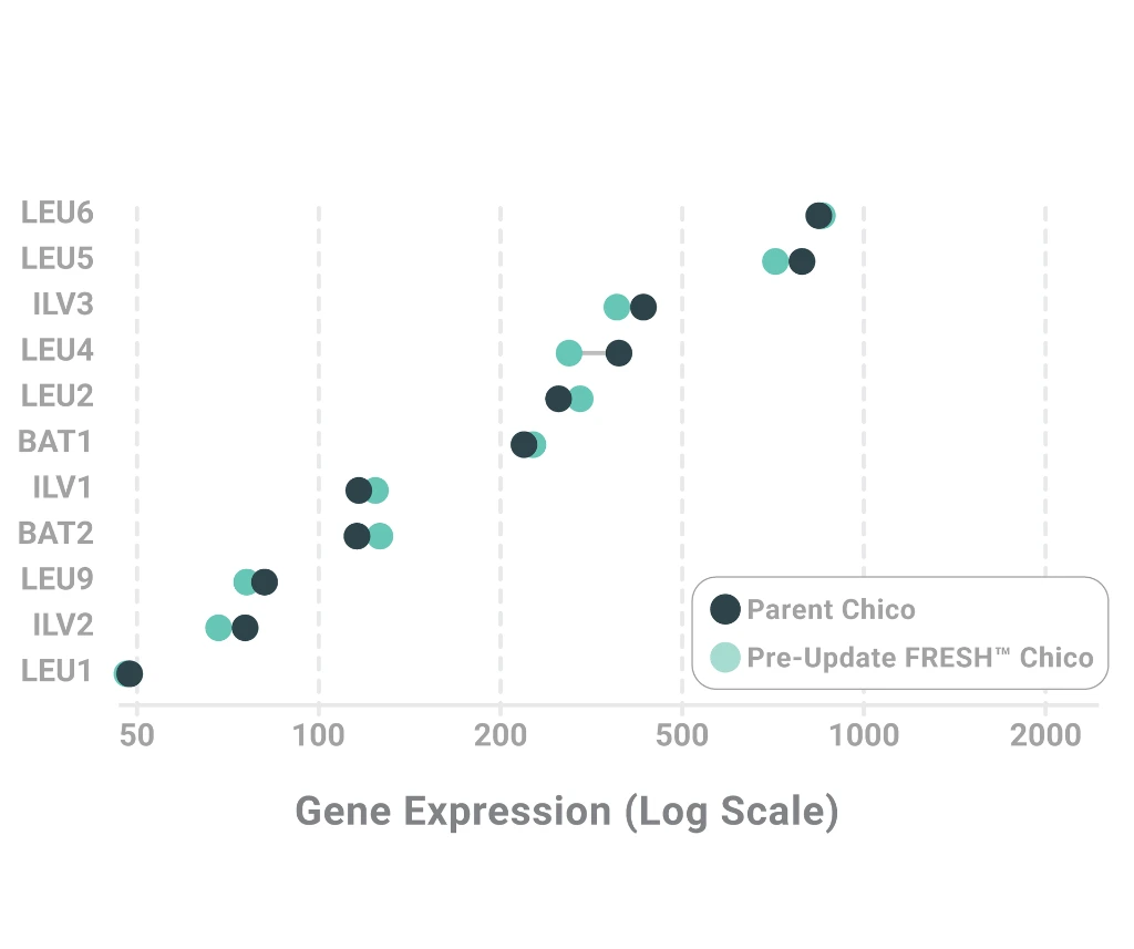 Dumbbell plot showing updated FRESH Chico with the ALDC switch matches parent Chico expression across 11 alpha-acetolactate pathway genes