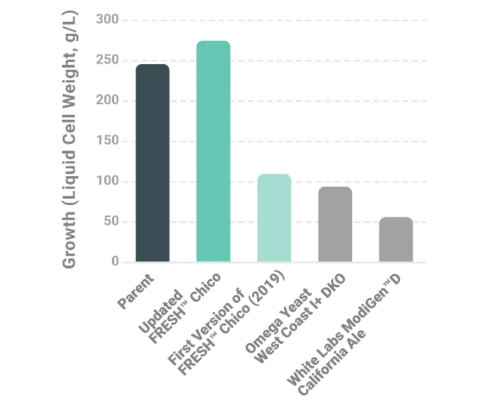 Bar chart of growth (dry cell weight, g/L) in an extended-growth test: updated FRESH Chico grows as well as parent Chico, while the first version of FRESH Chico (2019), Omega Yeast West Coast I+ DKO, and White Labs ModiGen D California Ale grow far less