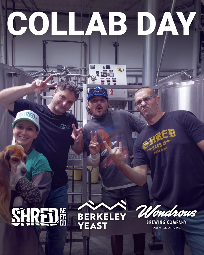 Collab Day: Shred and Wondrous
